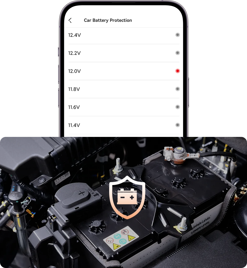 DDPAI Global