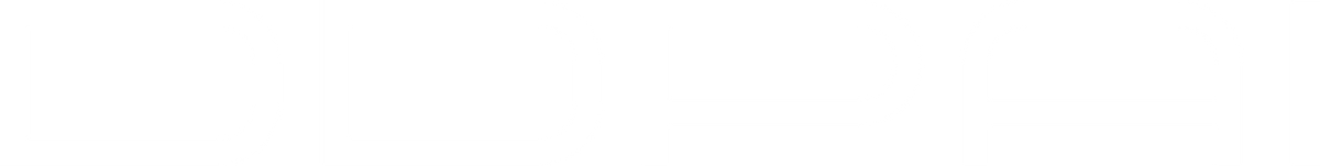 DDPAI Global