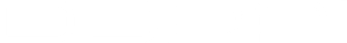DDPAI Global